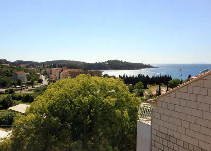 And With A Swimming Pool Cavtat, Dubrovnik - 4733
