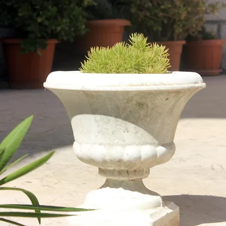 And With A Swimming Pool Cavtat, Dubrovnik - 4733 3*