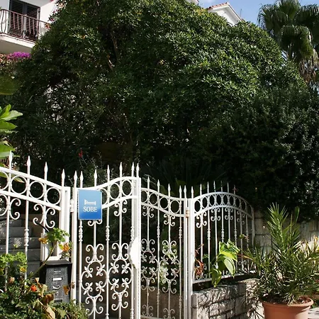 Affittacamere And With A Swimming Pool Cavtat, Dubrovnik - 4733 Cavtat